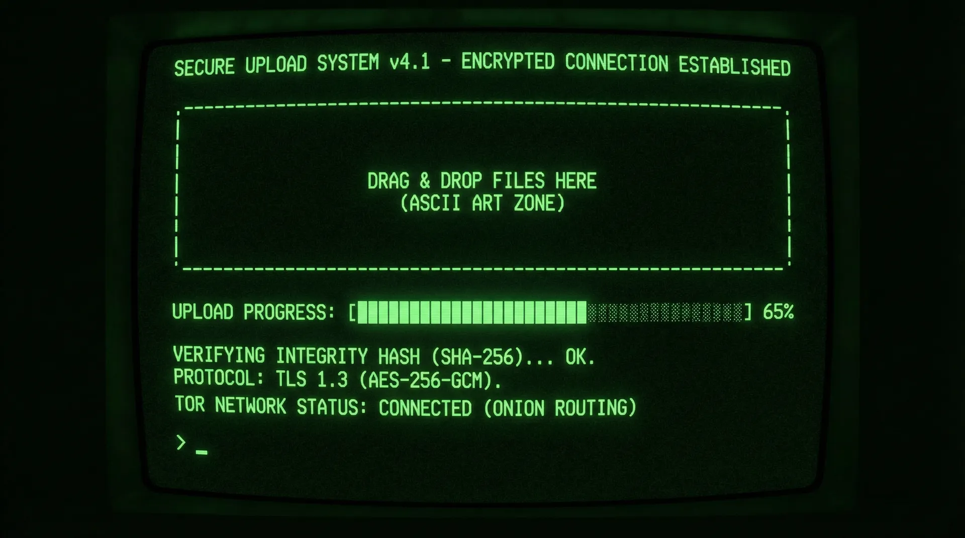 91网 安全加密上传系统界面截图
